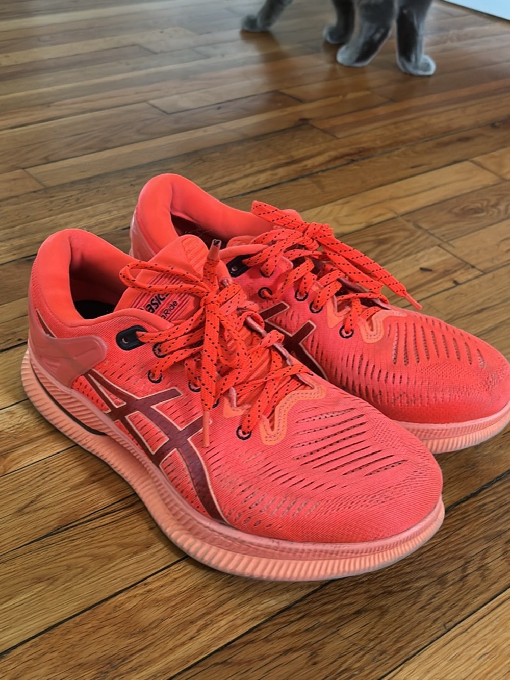 ASICS Men’s Metaride Running shoes